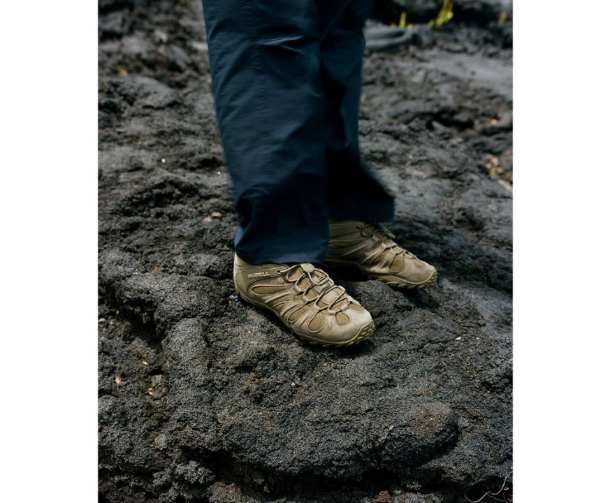 Dark Olive F60FX2481 Cham 8 Stretch Tactical (J099409) Merrell