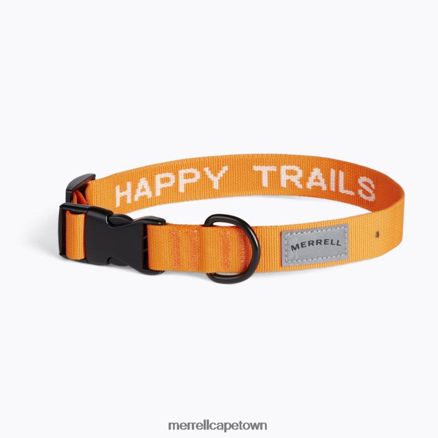 Exuberance F60FX2269 Dog Collar (JAF26691-751) Merrell