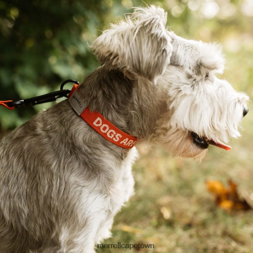 Poinciana F60FX2267 Dog Collar (JAF26691-629) Merrell