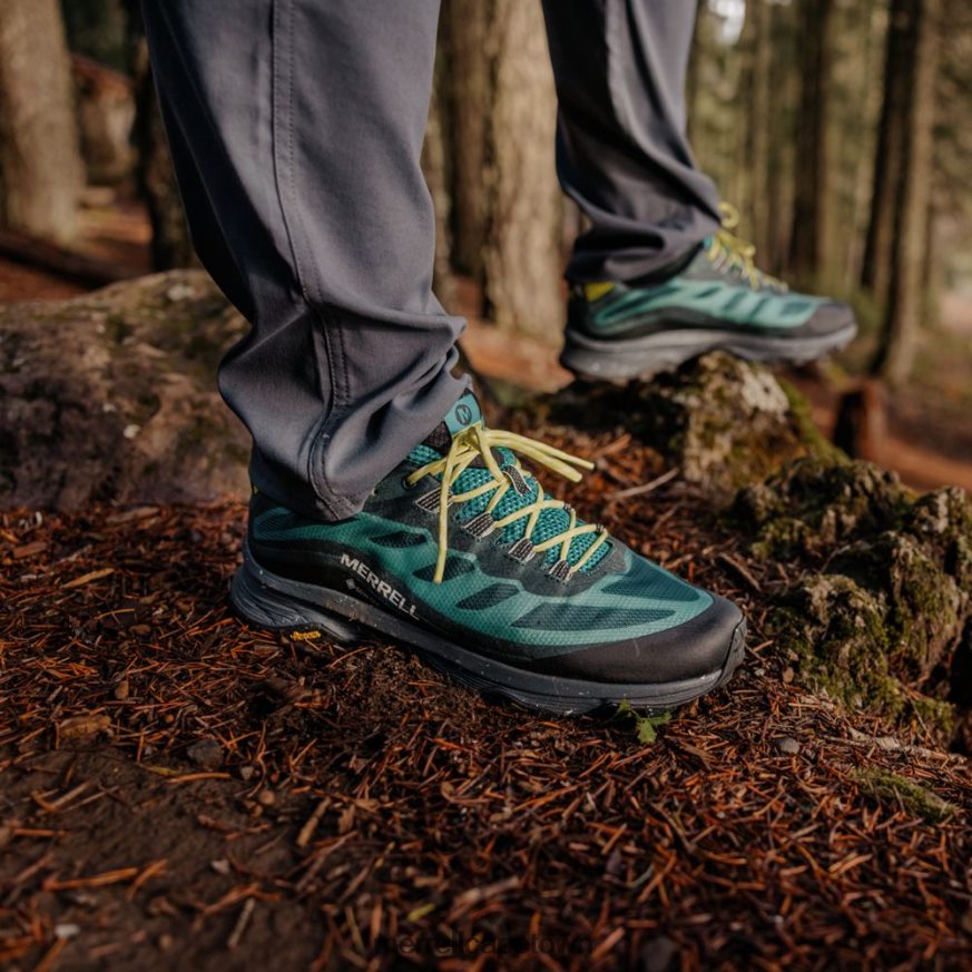 Sea Moss F60FX221 Moab Speed GORE-TEX (J067429) Merrell