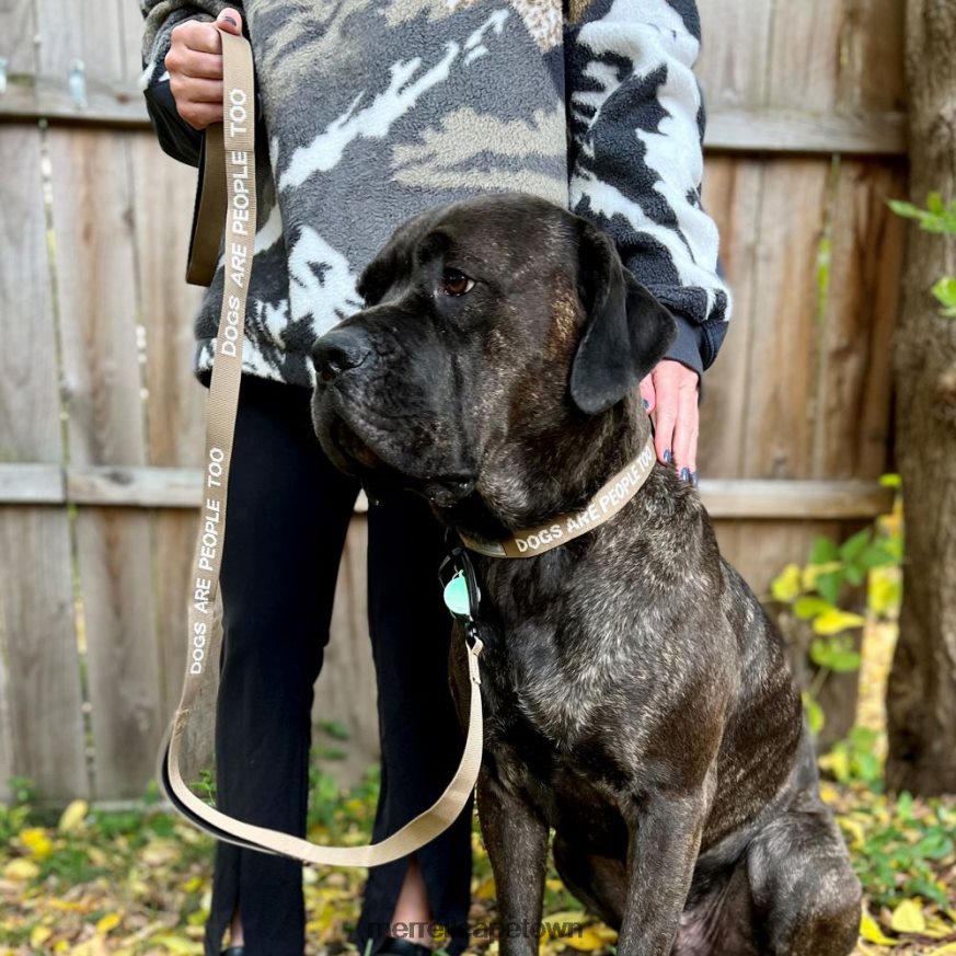 Sepia Tint F60FX2460 Dog Leash (JAF26689-176) Merrell